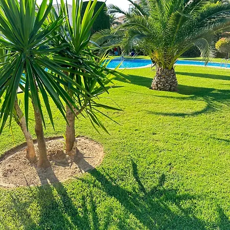 Alisa Costa Blanca Apartment *